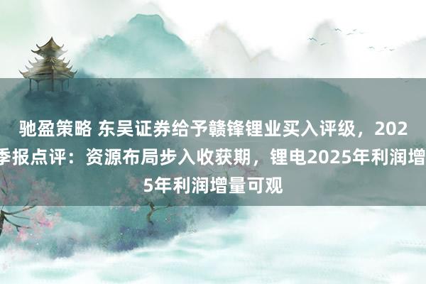 驰盈策略 东吴证券给予赣锋锂业买入评级，2025年一季报点评：资源布局步入收获期，锂电2025年利润增量可观