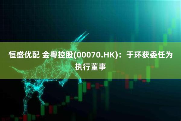 恒盛优配 金粤控股(00070.HK)：于环获委任为执行董事