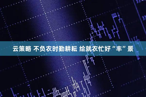 云策略 不负农时勤耕耘 绘就农忙好“丰”景