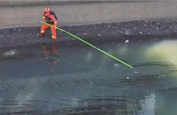 日昇配资 野斑鸠被困河道消防员下河助脱困