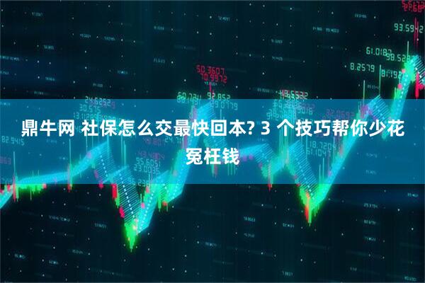 鼎牛网 社保怎么交最快回本? 3 个技巧帮你少花冤枉钱
